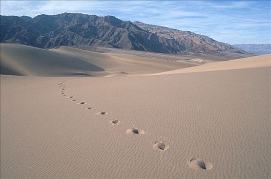 脚印,死亡谷国家公园,加利福尼亚