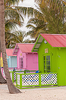 巴哈马,自由岛,公主,海滩,平房