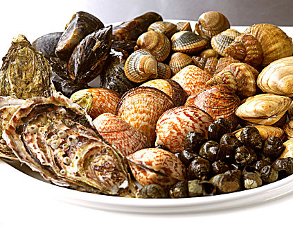 贝类,大浅盘,牡蛎