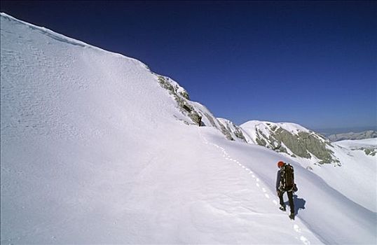 两个,攀登者,雪,山脊,区域,奥地利