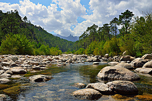 河床,河,顶峰,科西嘉岛,法国,欧洲