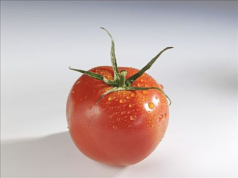 西红柿,水滴