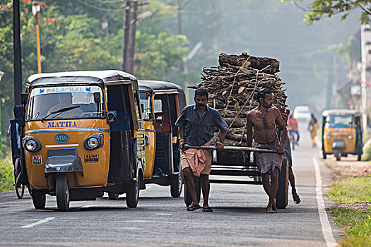 白天,劳工,拉拽,手推车,满载,木头,喀拉拉,印度,亚洲