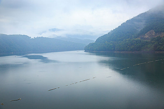 水库,山水,生态