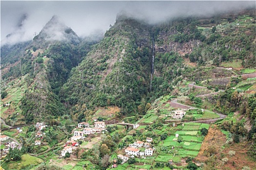 种植,梯田,崖顶,岛屿,马德拉岛