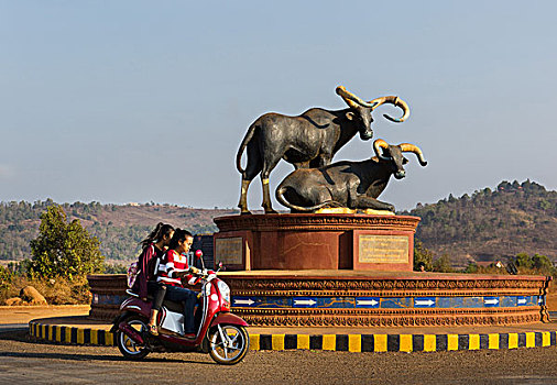 公牛,纪念建筑,摩托车,女孩,省,柬埔寨,亚洲