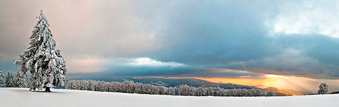冬季风景,太阳,雾,南方,黑森林,巴登符腾堡,德国,欧洲