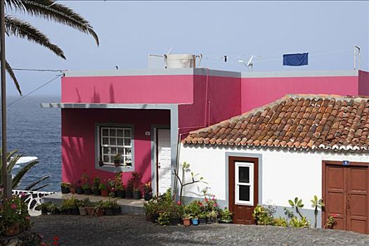 粉色,传统,房子,帕尔玛,加纳利群岛,西班牙