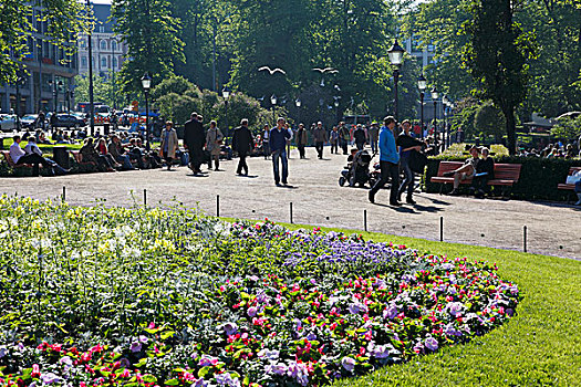 芬兰,赫尔辛基,公园,休闲场所,花园,花