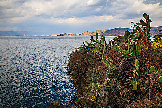 水面,阳光,小岛,小镇,房子