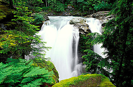 瀑布,贝克山-斯诺夸尔米国家森林公园,华盛顿