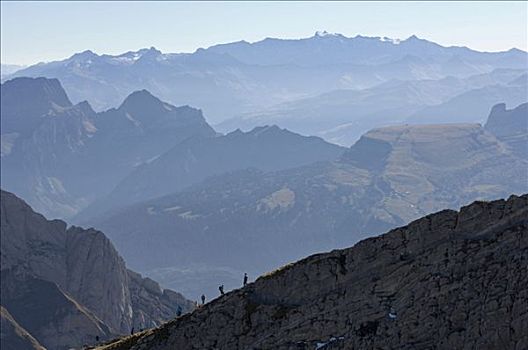 远足者,向上,顶峰,山,正面,山峦,阿尔卑斯山,瑞士,欧洲