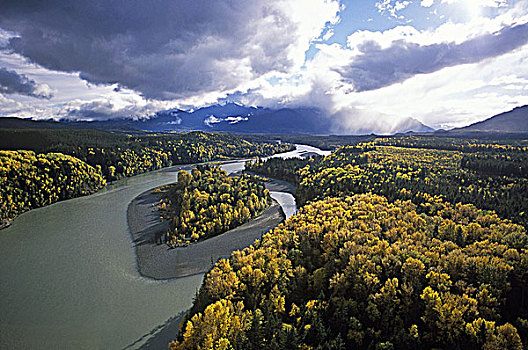 俯视,河,北方,平台,不列颠哥伦比亚省,加拿大