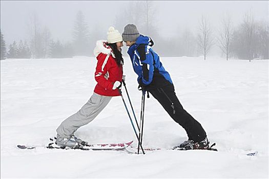 伴侣,滑雪,草甸公园,不列颠哥伦比亚省,加拿大
