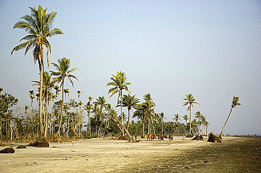 女儿,海洋,一个,自然,斑点,全景,上升,夕阳,湾,孟加拉,公里,达卡,首都