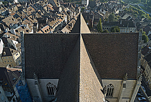 法国,屋顶,巴黎圣母院,大教堂,俯视