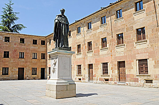 雕塑,内庭,大学,萨拉曼卡,卡斯蒂利亚莱昂,西班牙,欧洲