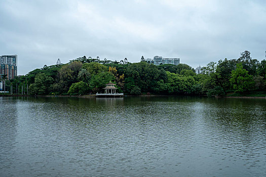 广州2023年春季天河公园雨后即景