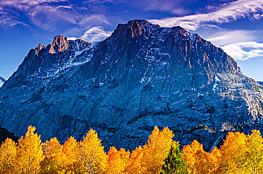 秋天,白杨,顶峰,印尤国家森林,内华达山脉,加利福尼亚,美国