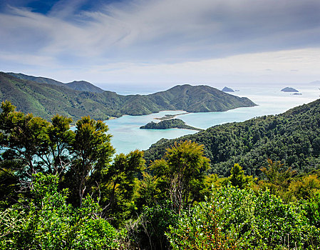 风景,上方,马尔伯勒,声音,南岛,新西兰,大洋洲