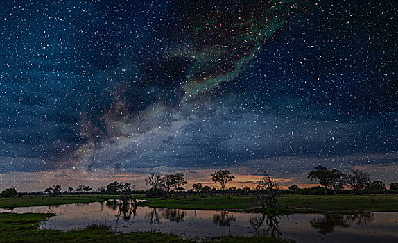 星空,天空,上方,沼泽,奥卡万戈三角洲,博茨瓦纳,林波波河,南非,非洲