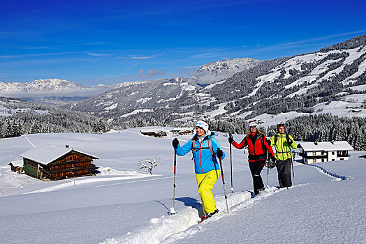 雪鞋,远足,阿尔卑斯山,提洛尔,奥地利,欧洲