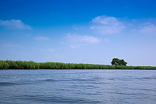 中国河北保定安新白洋淀自然风光