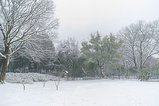 武汉东湖园林雪景