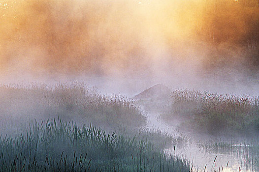 晨雾,海狸塘,瓦尔登,安大略省,加拿大