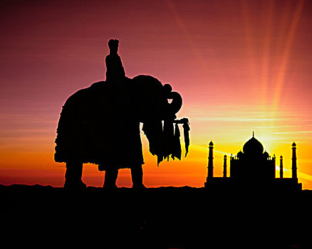 泰姬陵,大象,日落,北方邦,印度,17世纪,皇帝