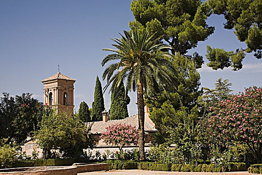 观赏花园,塔,阿尔罕布拉宫,地面,格拉纳达,西班牙