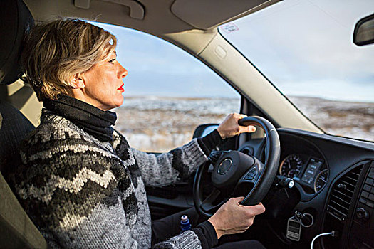 成年,女人,驾驶,冰岛