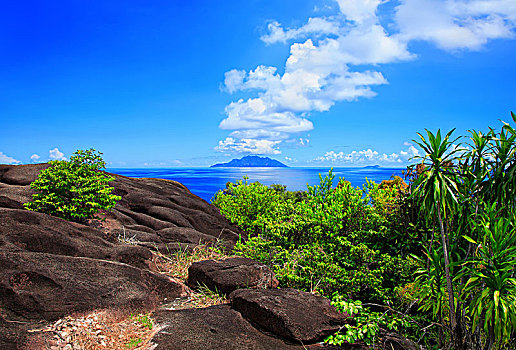 风景,小岛,北岛,印度洋,塞舌尔,非洲