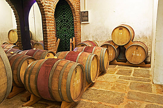 桶藏发酵,地窖,木质,酒栈,葡萄酒厂,蒙得维的亚,乌拉圭,南美
