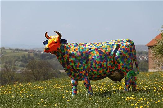 彩色,涂绘,母牛,模型,区域,下奥地利州,奥地利,欧洲