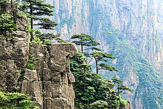 安徽省黄山市黄山风景区西海大峡谷自然景观