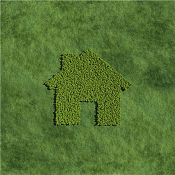 家,创作,树,草,背景