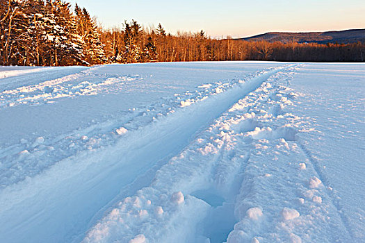 越野滑雪,小路,预留,温莎公爵,马萨诸塞