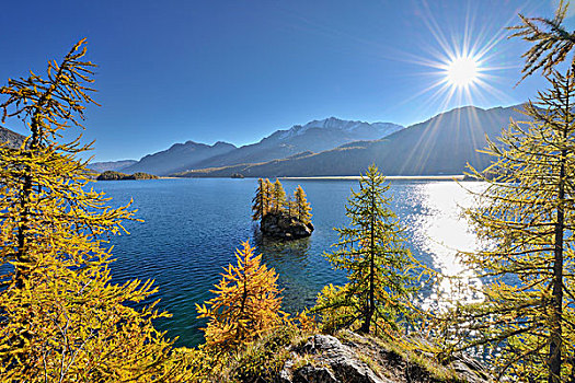 落叶松,湖,太阳,秋天,恩加丁,瑞士