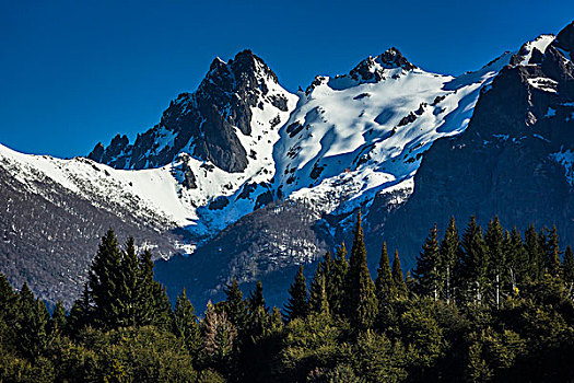 风景,安迪斯山脉,纳韦尔瓦皮,国家公园,阿根廷