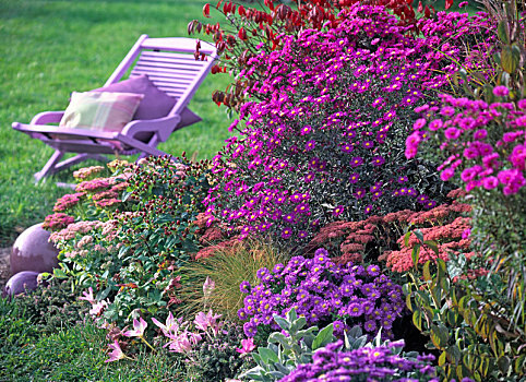 秋天,花园,多年生植物,座椅