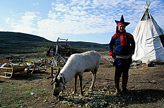 挪威,靠近,霍宁斯沃格,拉普兰人,男人,驯鹿