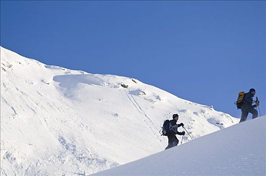 滑雪,登山者,攀登,斜坡,塞尔扣克山,加拿大