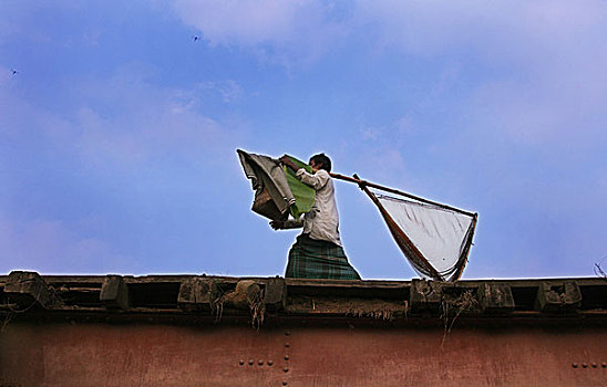 孟加拉,渔民,鱼市,抓住,鱼,2007年