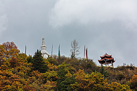 川西九寨沟县大录藏寨