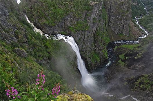 瀑布,哈当厄尔韦德国家公园,挪威,斯堪的纳维亚,欧洲