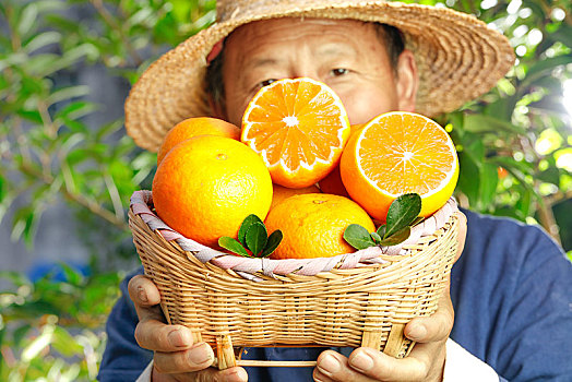 农民手上端着一篓四川爱媛果冻橙