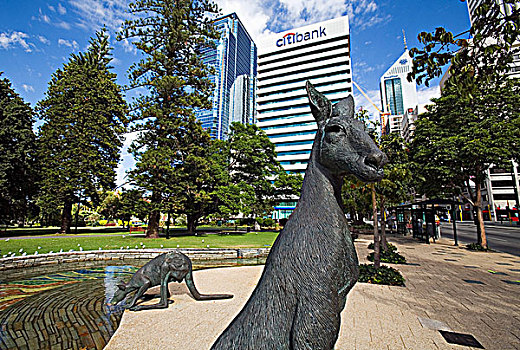 澳大利亚,西澳大利亚,佩思,袋鼠,雕塑,平台