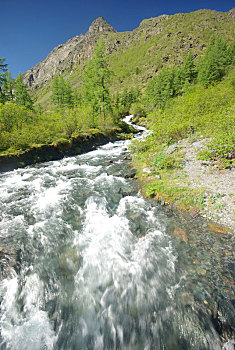 山,河,水流,峡谷,石头,岩石,陆地,靠近,漂亮,山景