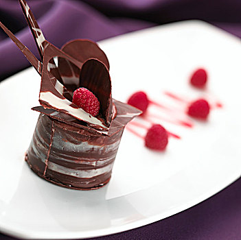 黑巧克力,甜点,树莓